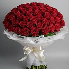 Букет 101 Красная роза Блэк Мэджик в Болотном