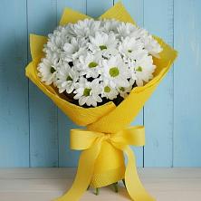 Букет цветов из:  Хризантемы в Болотном