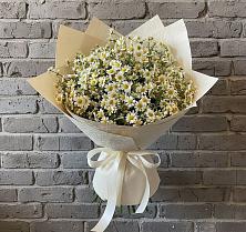 Букет цветов из:  Ромашки в Болотном