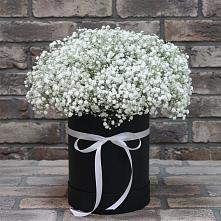 Цветочная композиция из Гипсофила в шляпной коробке в Болотном