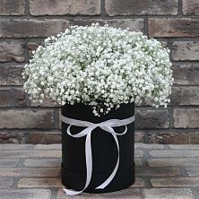 Цветочная композиция из Гипсофила в шляпной коробке в Болотном