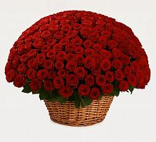 Премиум букет из: Розы в Болотном