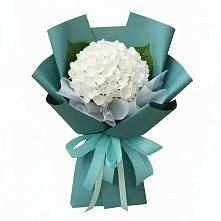 Букет цветов из:  Гортензия в Болотном